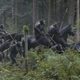 Image for article titled Dawn of the Planet of the Apes Is the Most Upsetting Dystopia of All